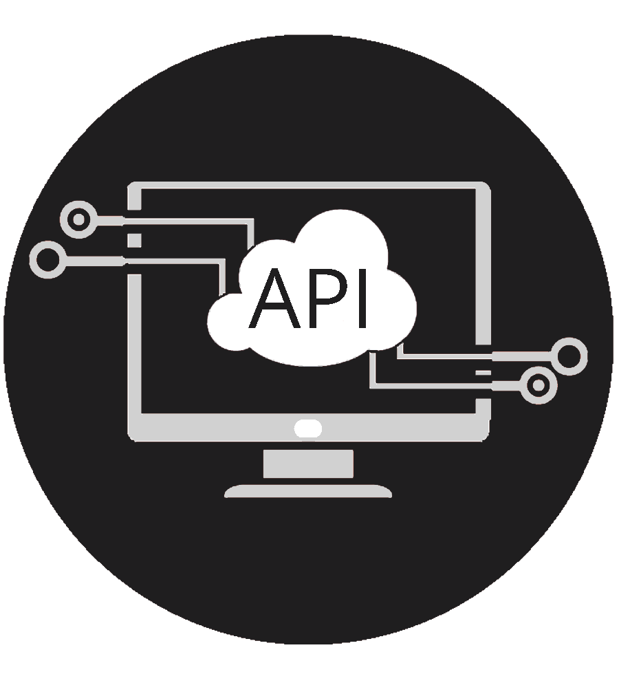 API-skills-icon